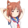 animeshnikpack 12