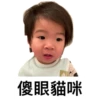 傻眼貓咪