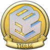 TEAM