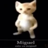 Miguel
este es miguel
