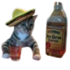 adk_cats_pack 29