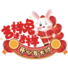 rabbit2023 28