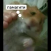 памагити