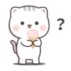 the kitten 24