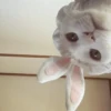 PETS! 28
