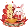 rabbit2023 30