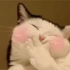 PETS! 29