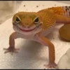 animalstickroom 27