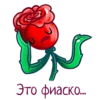 allayaroza 29