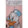 Ducks 6
