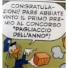 Ducks 8