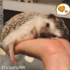 StickersMN