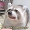 @nocturnaltrashposts
unsend that immediately