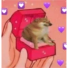 Love Memes ️ ️ 6