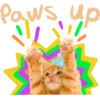 Paws up
NOW!