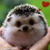 StickersMN