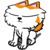 Willi Cat Neutral Emotions 9