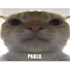 meme 8