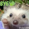BYES МИ
StickersMN