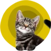 Doodle Cats 7
