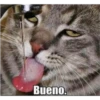 Bueno.