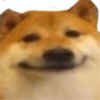 v o i d animals 10