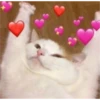 Love Memes ️ ️ 10