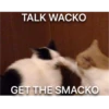 TALK WACKO
GET THE SMACKO