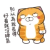 白爛貓 2022慶中秋 8