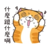 白爛貓 2022慶中秋 9