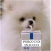 Ancora Italia 18
