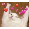 Heart Reaction Pics 12