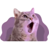 Doodle Cats 10