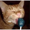 me
you