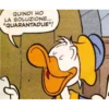 Ducks 15