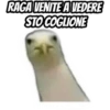 Reaction 10.0 19