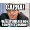 Ancora Italia 19