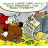 Ducks 16