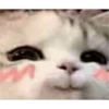 v o i d animals 15