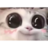 ?
@Du-Ooo