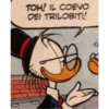Ducks 17