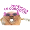 PerDona econozco