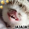 StickersMN
JAJAJA!