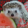 V
StickersMN
it
W
11
PL