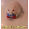 skate fast, eat trash