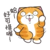 白爛貓 2022慶中秋 14