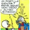 Ducks 19