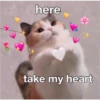 here take my heart