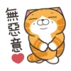 白爛貓 2022慶中秋 16