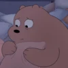 We Bare Bears 1 22
